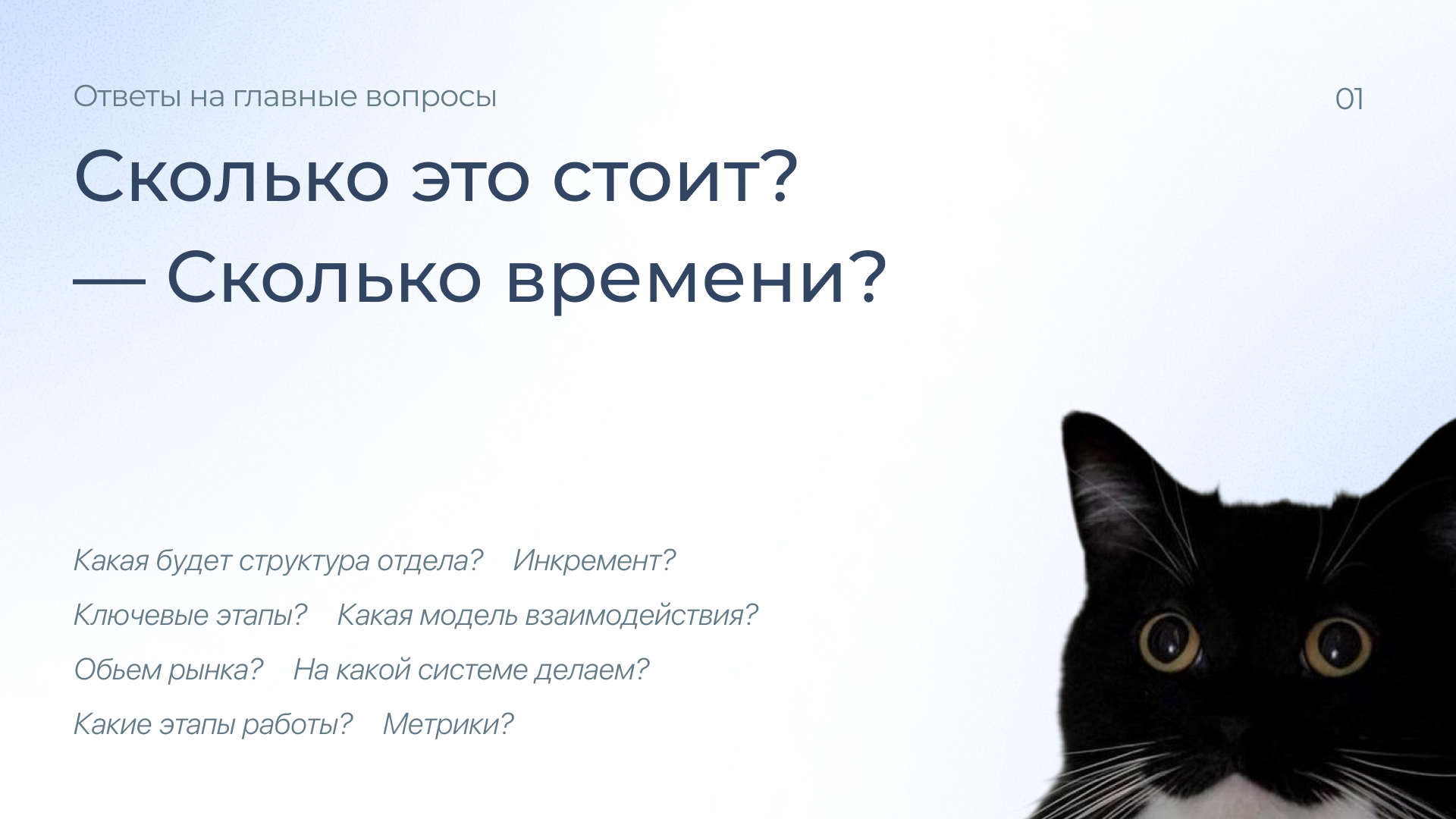 Главные вопросы ДомСтрой